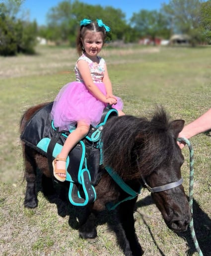 Gallery photo 4 of Arizona Camel Rental