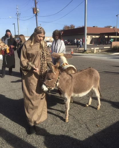 Gallery photo 26 of Arizona Camel Rental