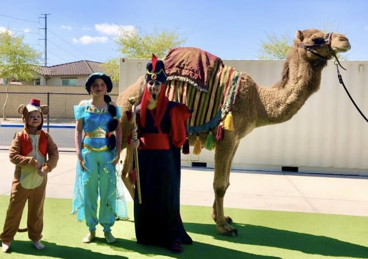 Gallery photo 33 of Arizona Camel Rental
