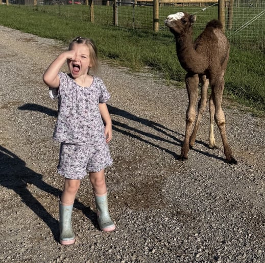 Gallery photo 34 of Arizona Camel Rental