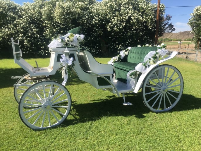 Gallery photo 1 of Arizona Classic Carriages