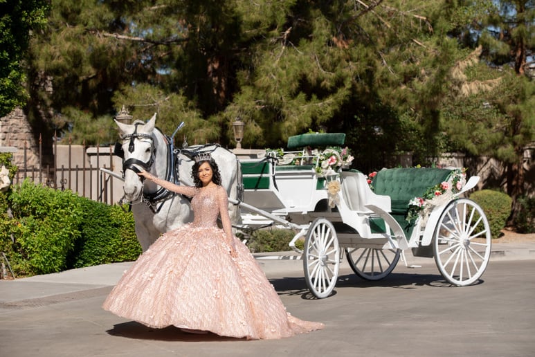 Gallery photo 2 of Arizona Classic Carriages