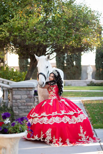Gallery photo 3 of Arizona Classic Carriages