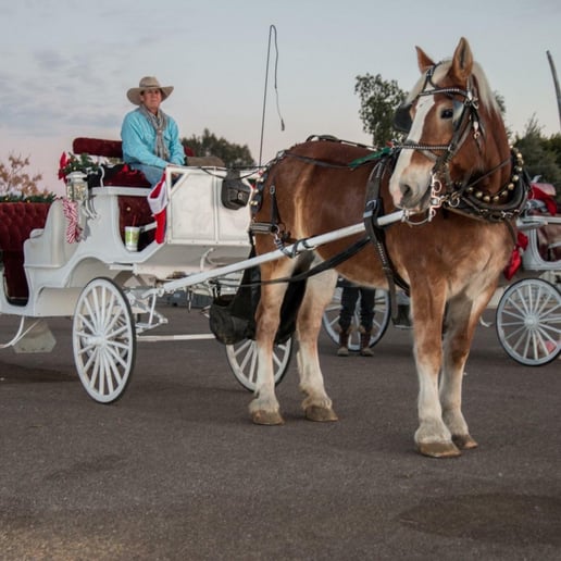Gallery photo 4 of Arizona Classic Carriages