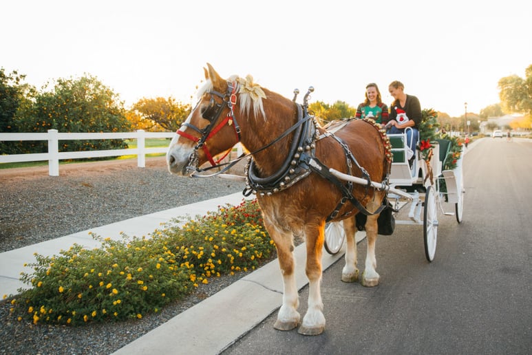 Gallery photo 5 of Arizona Classic Carriages