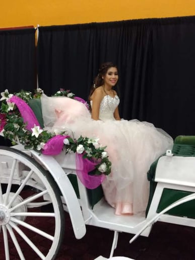 Gallery photo 6 of Arizona Classic Carriages