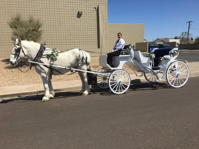 Gallery photo 7 of Arizona Classic Carriages