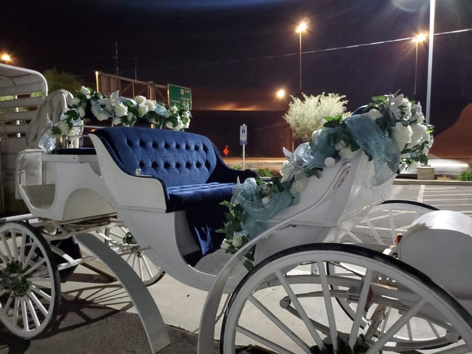 Gallery photo 8 of Arizona Classic Carriages
