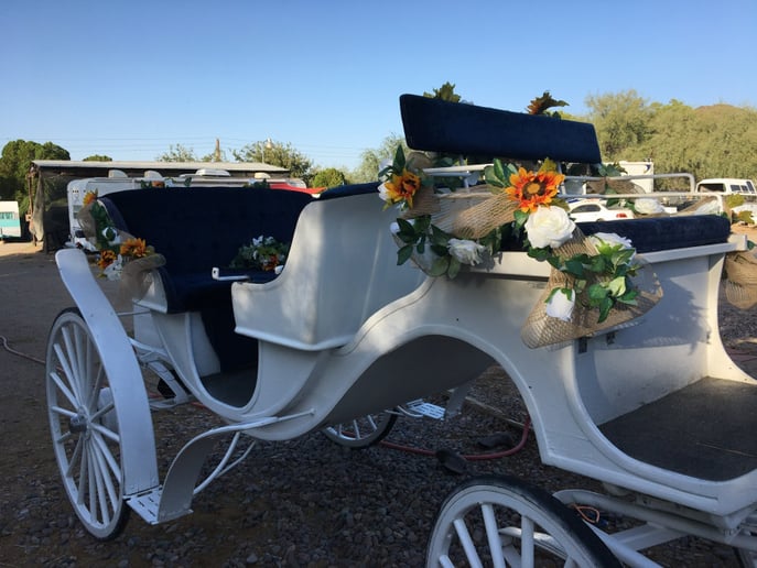 Gallery photo 9 of Arizona Classic Carriages