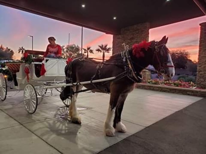 Gallery photo 10 of Arizona Classic Carriages