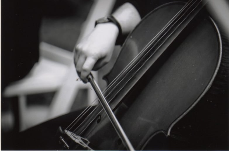 Gallery photo 1 of Arreaux Strings