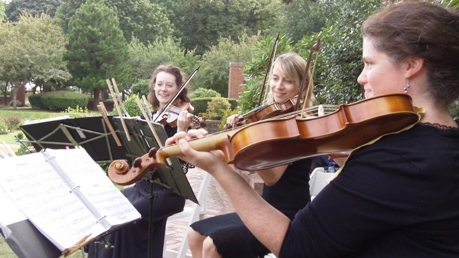 Gallery photo 2 of Arreaux Strings