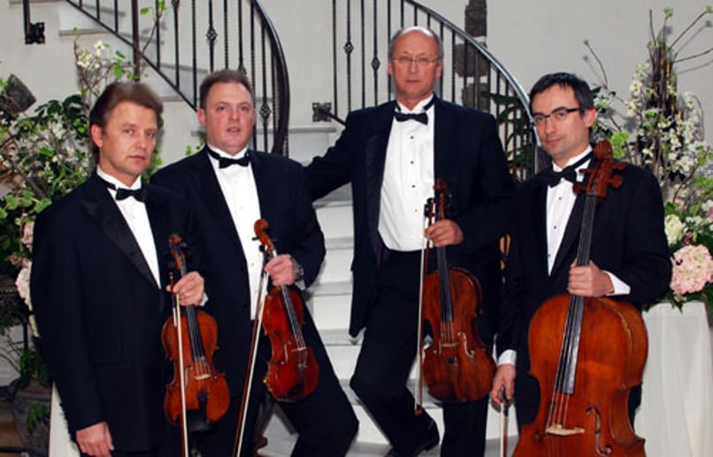 Gallery photo 9 of Art-Strings Ensembles