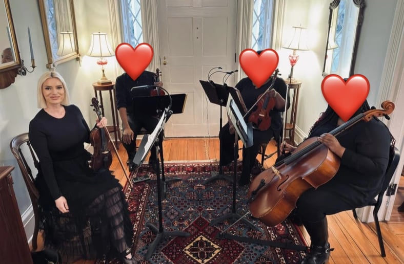 Gallery photo 6 of Art of Violin Strings