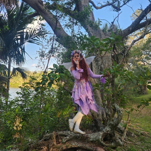 Gallery photo 11 of Violetafiesta