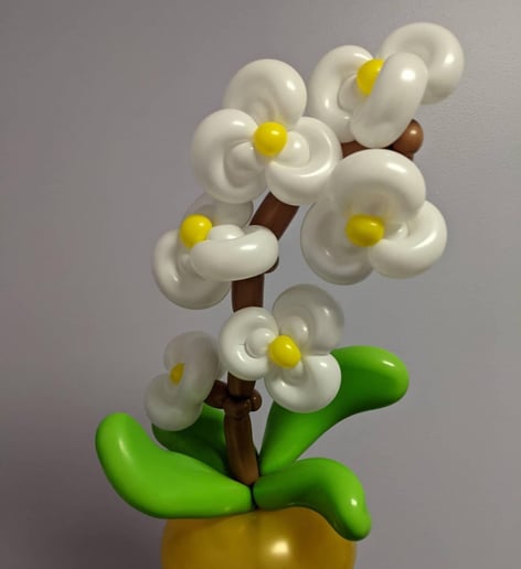Gallery photo 5 of Artful Air Designs
