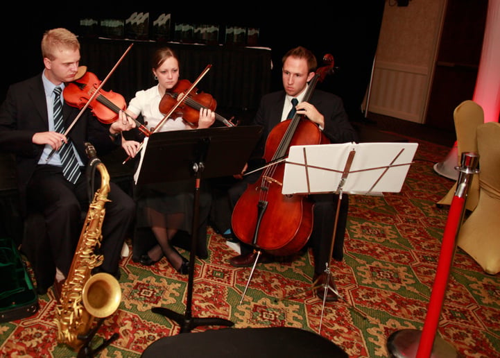 Gallery photo 5 of ArtSound Live Music