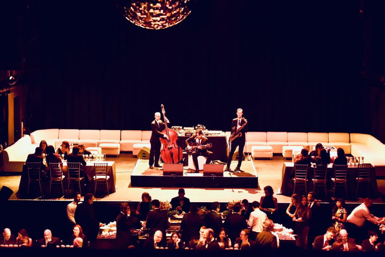 Gallery photo 5 of SpringLight Entertainment