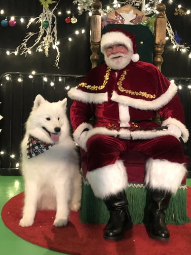 Gallery photo 3 of Asbury Santa