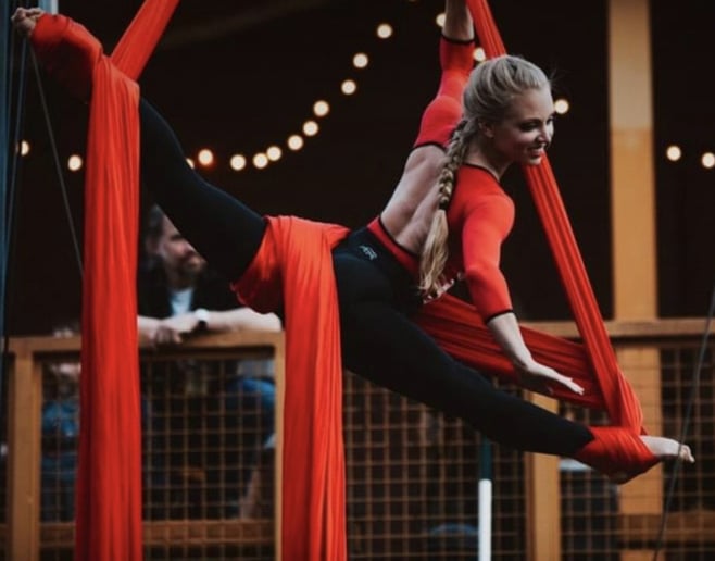 Gallery photo 10 of Asheville Aerial Arts