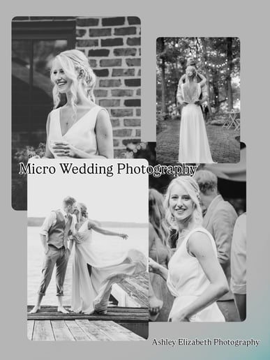 Gallery photo 2 of Ashley Elizabeth Photography