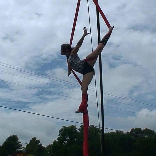 Gallery photo 2 of Airborne Aerial Arts!