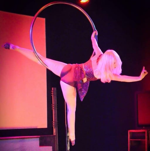 Gallery photo 3 of Airborne Aerial Arts!
