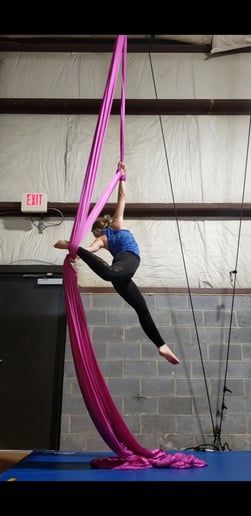 Gallery photo 4 of Airborne Aerial Arts!