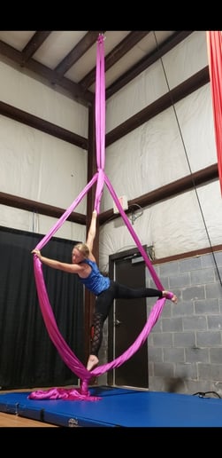Gallery photo 5 of Airborne Aerial Arts!