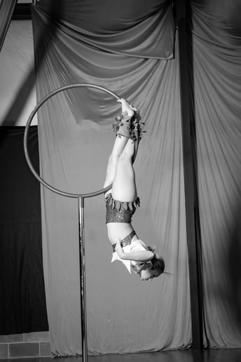 Gallery photo 7 of Airborne Aerial Arts!