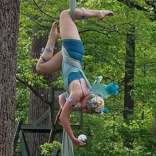 Gallery photo 8 of Airborne Aerial Arts!