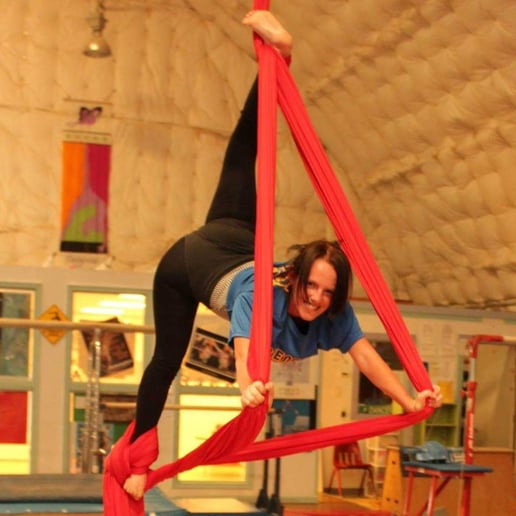 Gallery photo 10 of Airborne Aerial Arts!