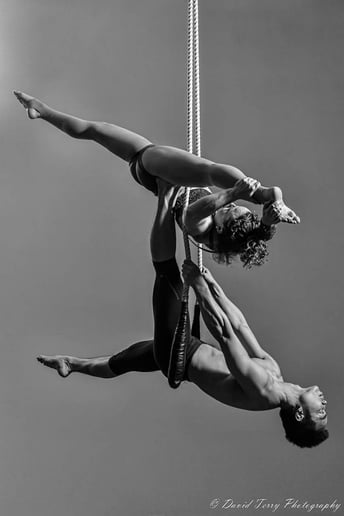 Gallery photo 5 of FIFTY SHADES of WAI: Aerial Strap-tease