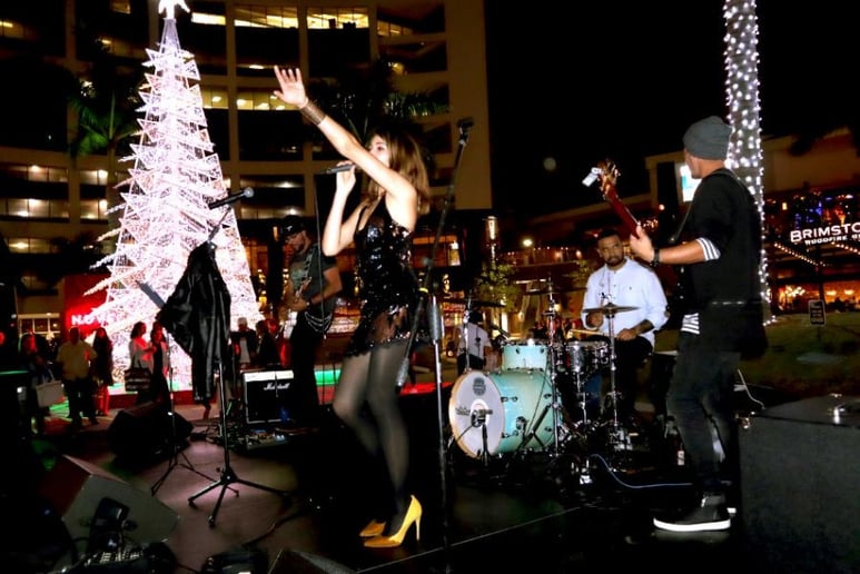 Gallery photo 9 of Assai Event Musicians