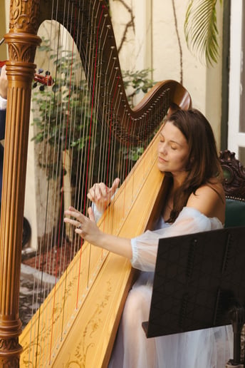 Gallery photo 35 of Assai Event Musicians