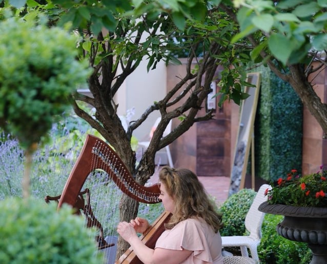 Gallery photo 6 of Atlanta Harpist Paula Fagerberg