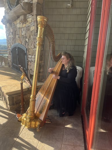 Gallery photo 3 of Atlanta Harpist Paula Fagerberg