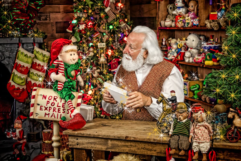 Gallery photo 8 of Santa Rick
