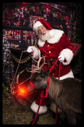 Gallery photo 10 of Santa Rick