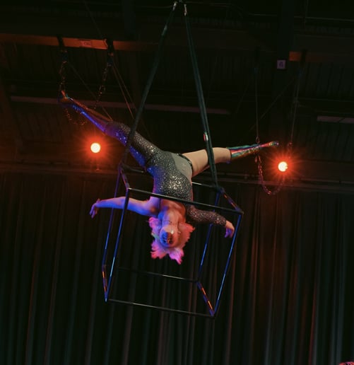 Gallery photo 5 of Atlas Aerials