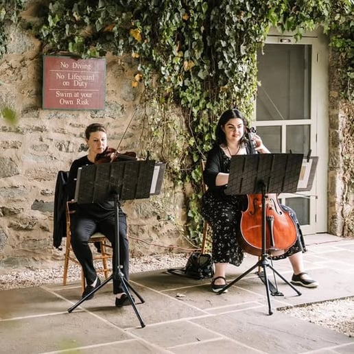 Gallery photo 8 of Atoka String Quartet