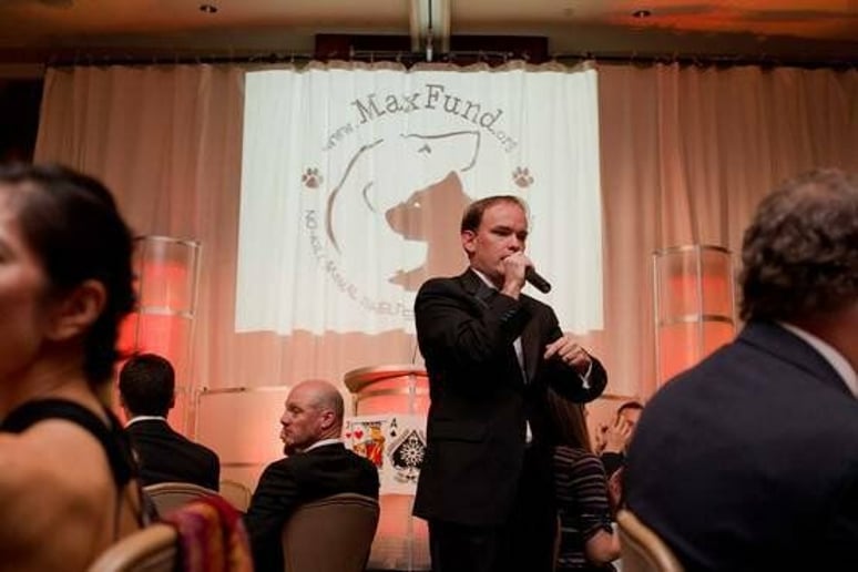 Gallery photo 6 of Auctioneer