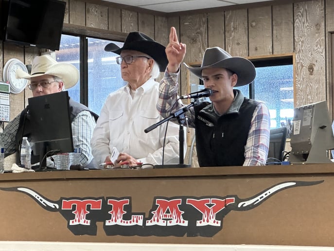 Gallery photo 2 of Auctioneering Service