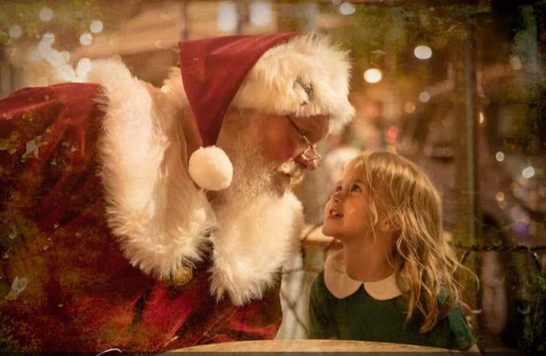 Gallery photo 3 of Audubon Santa