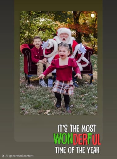 Gallery photo 9 of Audubon Santa