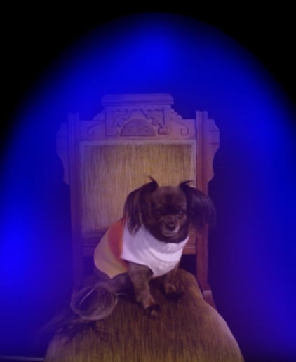 Gallery photo 5 of Aura Photography