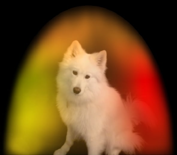 Gallery photo 6 of Aura Photography