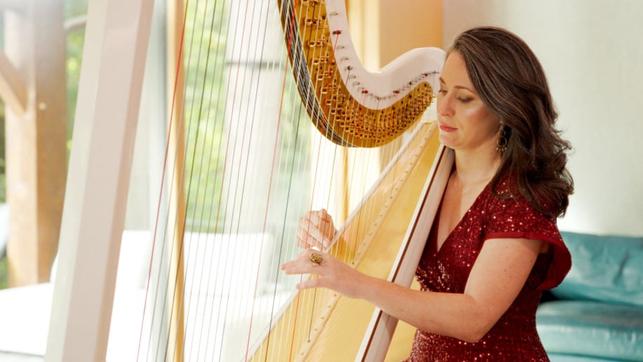 Gallery photo 1 of AureliHarp