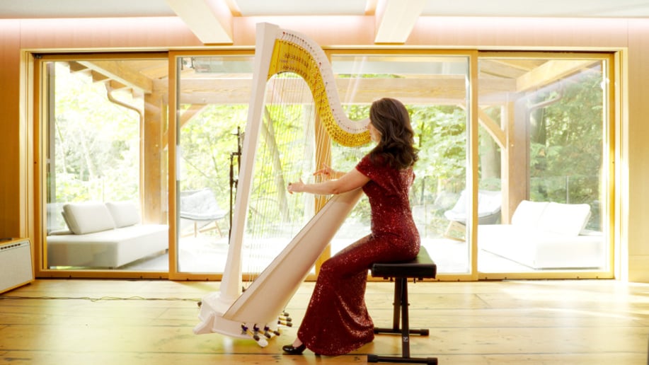 Gallery photo 2 of AureliHarp