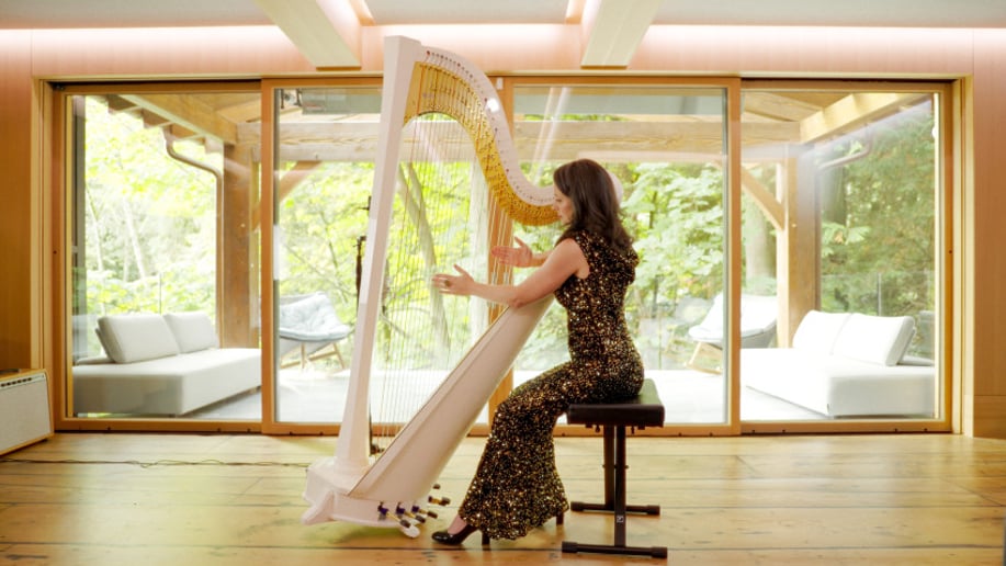 Gallery photo 4 of AureliHarp